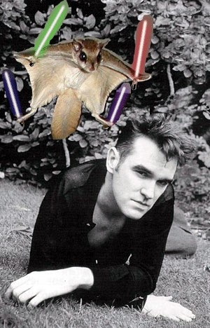 Flying Squirrel with light sabers; Morrissey